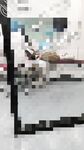 海角社區禽獸父親破處18歲蘿莉女兒後續 喂閨女吃春Y後悔不已累的我的老腰都快斷了
