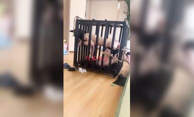 狗籠子加炮機